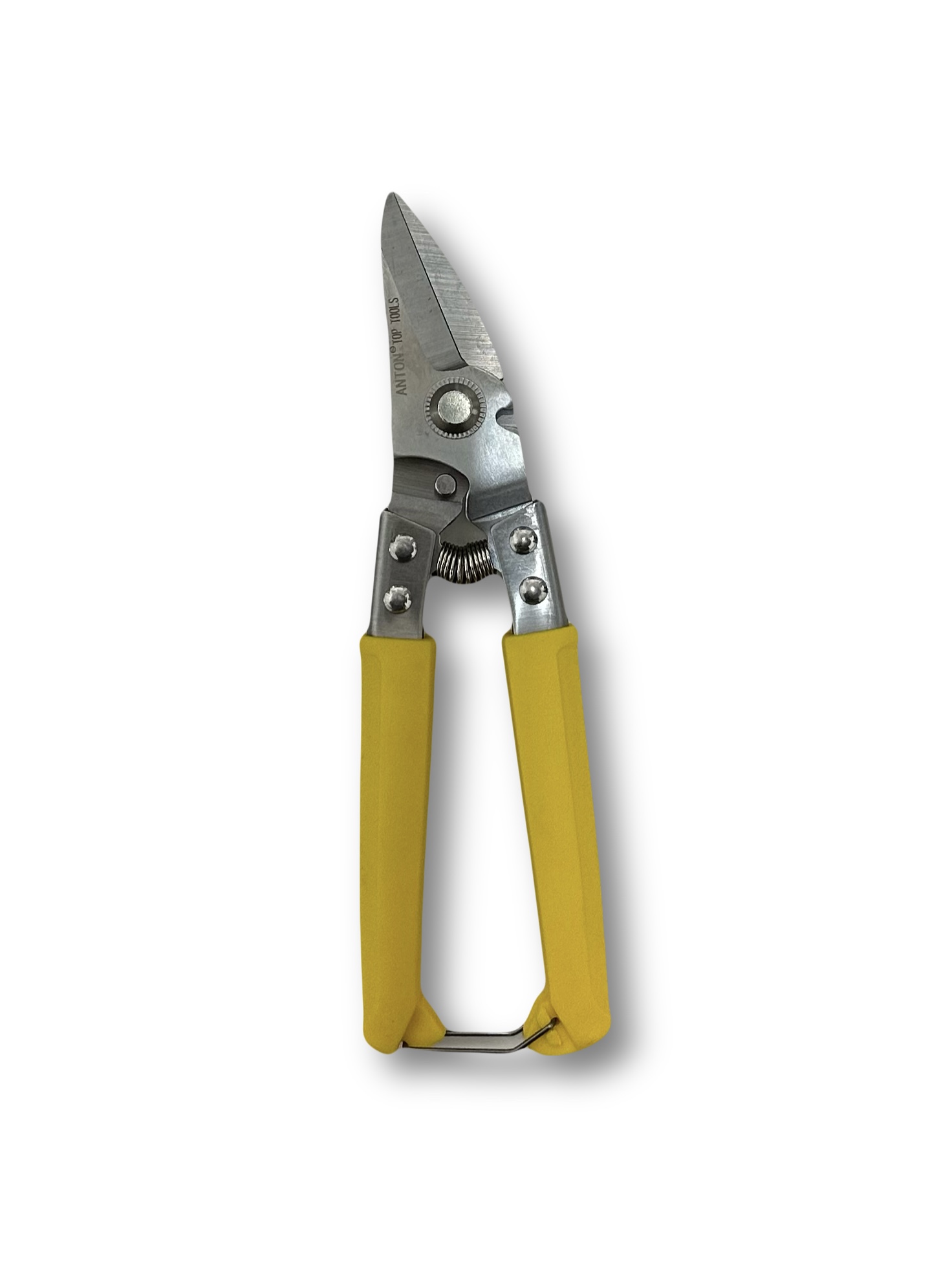 ЛОЗАРСКА НОЖИЦА ANTON