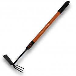 МОТИКА ТЕЛЕСКОПИЧНА